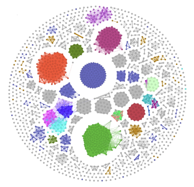 Network Visualization